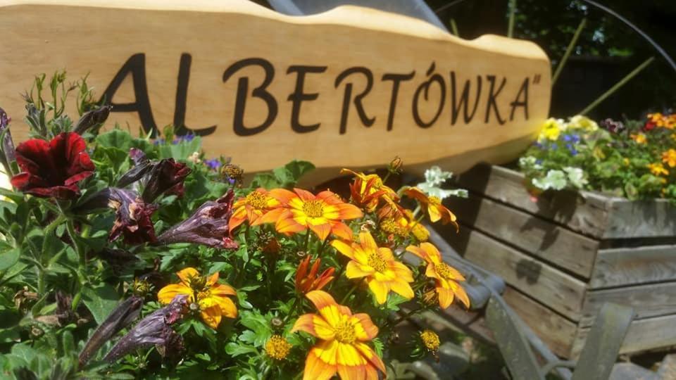 Albertowka Trzciel Bagian luar foto