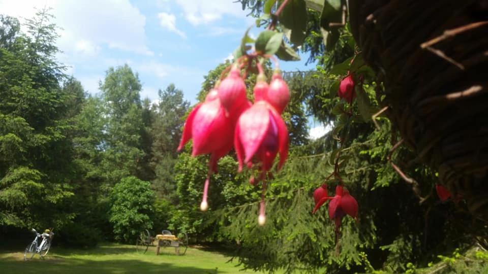 Albertowka Trzciel Bagian luar foto